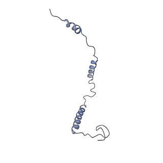 3842_5ool_o_v1-5
Structure of a native assembly intermediate of the human mitochondrial ribosome with unfolded interfacial rRNA