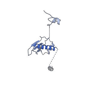 3842_5ool_p_v1-5
Structure of a native assembly intermediate of the human mitochondrial ribosome with unfolded interfacial rRNA