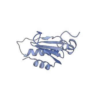 3842_5ool_u_v1-5
Structure of a native assembly intermediate of the human mitochondrial ribosome with unfolded interfacial rRNA