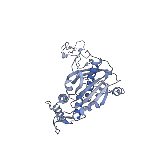 3843_5oom_5_v1-5
Structure of a native assembly intermediate of the human mitochondrial ribosome with unfolded interfacial rRNA