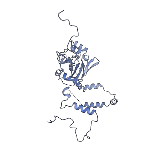 3843_5oom_6_v1-5
Structure of a native assembly intermediate of the human mitochondrial ribosome with unfolded interfacial rRNA