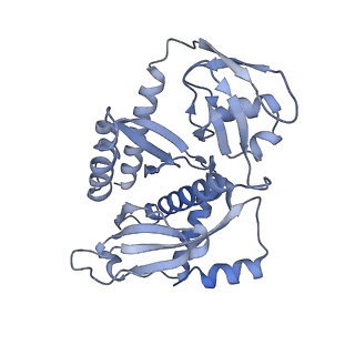 3843_5oom_7_v1-5
Structure of a native assembly intermediate of the human mitochondrial ribosome with unfolded interfacial rRNA