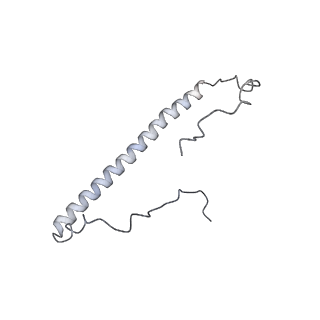 3843_5oom_8_v1-5
Structure of a native assembly intermediate of the human mitochondrial ribosome with unfolded interfacial rRNA