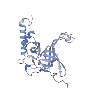 3843_5oom_E_v1-5
Structure of a native assembly intermediate of the human mitochondrial ribosome with unfolded interfacial rRNA