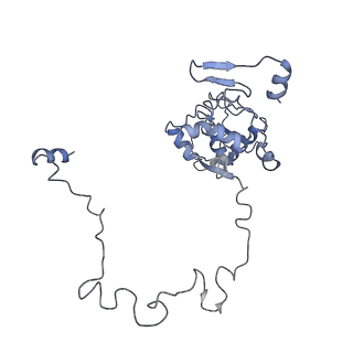 3843_5oom_M_v1-5
Structure of a native assembly intermediate of the human mitochondrial ribosome with unfolded interfacial rRNA