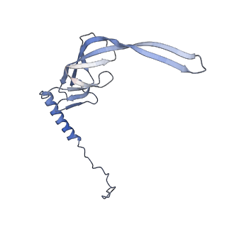 3843_5oom_S_v1-5
Structure of a native assembly intermediate of the human mitochondrial ribosome with unfolded interfacial rRNA