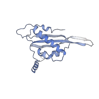 3843_5oom_T_v1-5
Structure of a native assembly intermediate of the human mitochondrial ribosome with unfolded interfacial rRNA