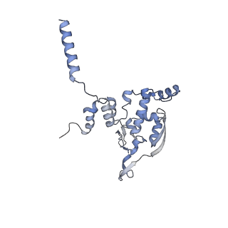 3843_5oom_X_v1-5
Structure of a native assembly intermediate of the human mitochondrial ribosome with unfolded interfacial rRNA