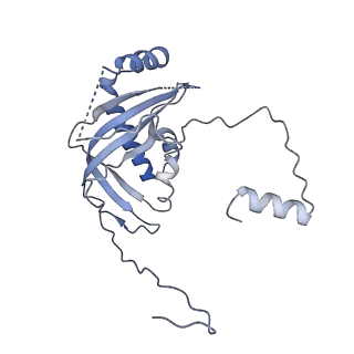 3843_5oom_d_v1-5
Structure of a native assembly intermediate of the human mitochondrial ribosome with unfolded interfacial rRNA