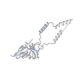 3843_5oom_e_v1-5
Structure of a native assembly intermediate of the human mitochondrial ribosome with unfolded interfacial rRNA