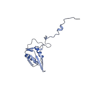3843_5oom_g_v1-5
Structure of a native assembly intermediate of the human mitochondrial ribosome with unfolded interfacial rRNA