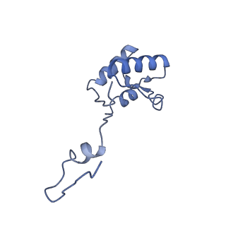 3843_5oom_h_v1-5
Structure of a native assembly intermediate of the human mitochondrial ribosome with unfolded interfacial rRNA