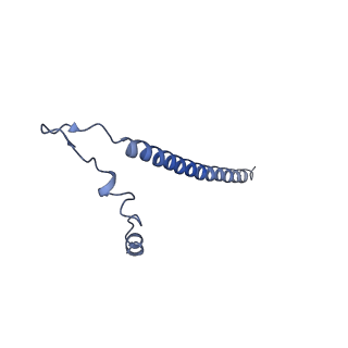 3843_5oom_j_v1-5
Structure of a native assembly intermediate of the human mitochondrial ribosome with unfolded interfacial rRNA