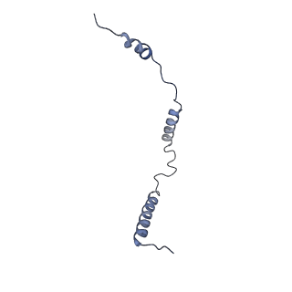 3843_5oom_o_v1-5
Structure of a native assembly intermediate of the human mitochondrial ribosome with unfolded interfacial rRNA