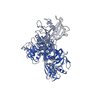 13011_7op1_A_v1-2
Cryo-EM structure of P5B-ATPase E2PiAlF/SPM
