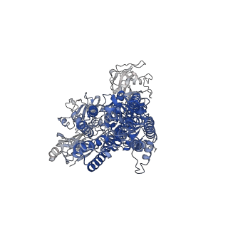 13012_7op3_A_v1-1
Cryo-EM structure of P5B-ATPase E2PiSPM