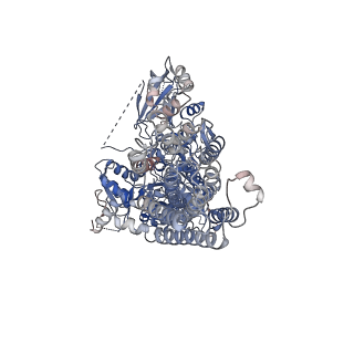 13014_7op8_A_v1-2
Cryo-EM structure of P5B-ATPase E2Pinhibit