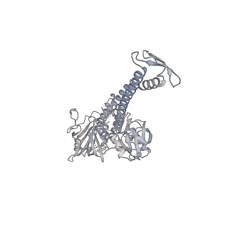 13017_7ope_0_v1-1
RqcH DR variant bound to 50S-peptidyl-tRNA-RqcP RQC complex (rigid body refinement)