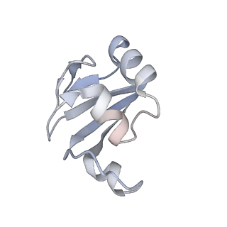 13017_7ope_1_v1-1
RqcH DR variant bound to 50S-peptidyl-tRNA-RqcP RQC complex (rigid body refinement)
