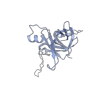 13017_7ope_F_v1-1
RqcH DR variant bound to 50S-peptidyl-tRNA-RqcP RQC complex (rigid body refinement)