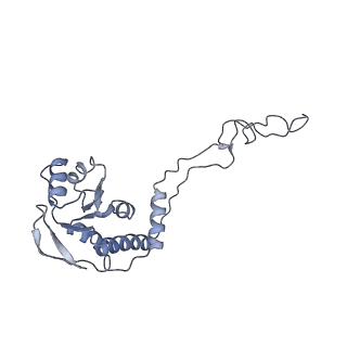 13017_7ope_G_v1-1
RqcH DR variant bound to 50S-peptidyl-tRNA-RqcP RQC complex (rigid body refinement)