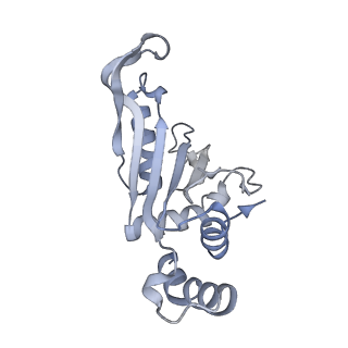 13017_7ope_H_v1-1
RqcH DR variant bound to 50S-peptidyl-tRNA-RqcP RQC complex (rigid body refinement)