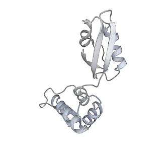 13017_7ope_K_v1-1
RqcH DR variant bound to 50S-peptidyl-tRNA-RqcP RQC complex (rigid body refinement)