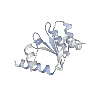 13017_7ope_L_v1-1
RqcH DR variant bound to 50S-peptidyl-tRNA-RqcP RQC complex (rigid body refinement)