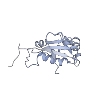 13017_7ope_N_v1-1
RqcH DR variant bound to 50S-peptidyl-tRNA-RqcP RQC complex (rigid body refinement)