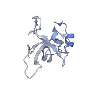 13017_7ope_O_v1-1
RqcH DR variant bound to 50S-peptidyl-tRNA-RqcP RQC complex (rigid body refinement)