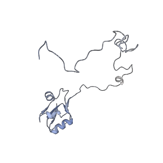 13017_7ope_P_v1-1
RqcH DR variant bound to 50S-peptidyl-tRNA-RqcP RQC complex (rigid body refinement)