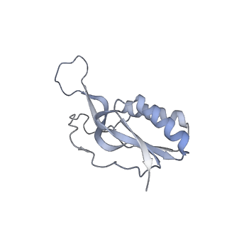 13017_7ope_Q_v1-1
RqcH DR variant bound to 50S-peptidyl-tRNA-RqcP RQC complex (rigid body refinement)