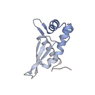 13017_7ope_R_v1-1
RqcH DR variant bound to 50S-peptidyl-tRNA-RqcP RQC complex (rigid body refinement)