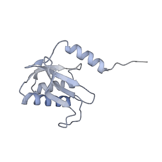 13017_7ope_S_v1-1
RqcH DR variant bound to 50S-peptidyl-tRNA-RqcP RQC complex (rigid body refinement)