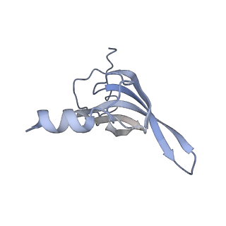 13017_7ope_T_v1-1
RqcH DR variant bound to 50S-peptidyl-tRNA-RqcP RQC complex (rigid body refinement)