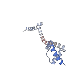 13017_7ope_U_v1-1
RqcH DR variant bound to 50S-peptidyl-tRNA-RqcP RQC complex (rigid body refinement)