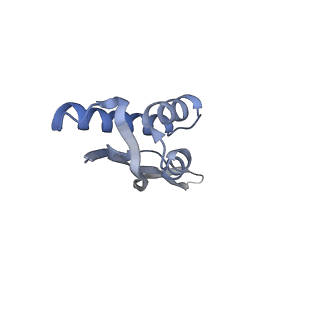 13017_7ope_W_v1-1
RqcH DR variant bound to 50S-peptidyl-tRNA-RqcP RQC complex (rigid body refinement)