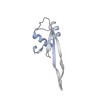 13017_7ope_X_v1-1
RqcH DR variant bound to 50S-peptidyl-tRNA-RqcP RQC complex (rigid body refinement)