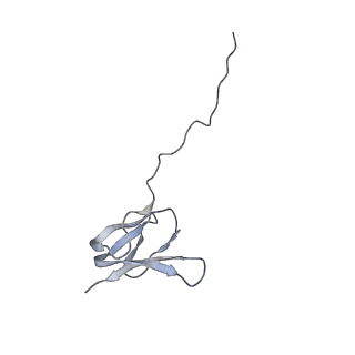 13017_7ope_a_v1-1
RqcH DR variant bound to 50S-peptidyl-tRNA-RqcP RQC complex (rigid body refinement)