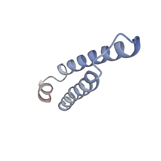 13017_7ope_c_v1-1
RqcH DR variant bound to 50S-peptidyl-tRNA-RqcP RQC complex (rigid body refinement)