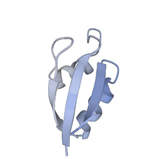 13017_7ope_d_v1-1
RqcH DR variant bound to 50S-peptidyl-tRNA-RqcP RQC complex (rigid body refinement)