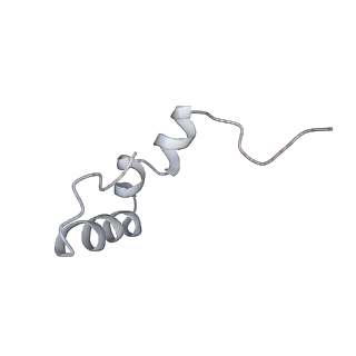 13017_7ope_h_v1-1
RqcH DR variant bound to 50S-peptidyl-tRNA-RqcP RQC complex (rigid body refinement)