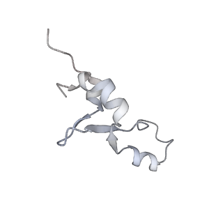 13017_7ope_i_v1-1
RqcH DR variant bound to 50S-peptidyl-tRNA-RqcP RQC complex (rigid body refinement)