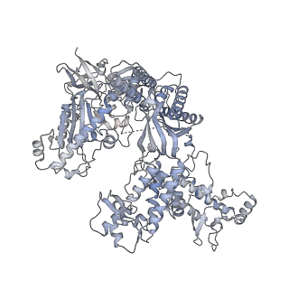 13020_7opl_A_v1-2
CryoEM structure of DNA Polymerase alpha - primase bound to SARS CoV nsp1