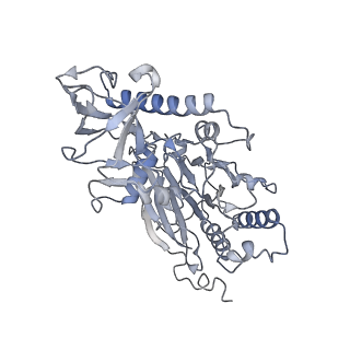 13020_7opl_B_v1-2
CryoEM structure of DNA Polymerase alpha - primase bound to SARS CoV nsp1