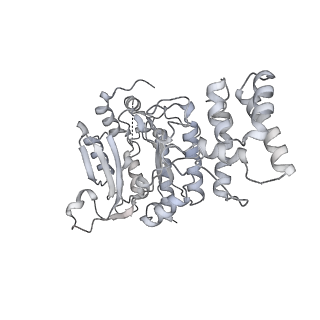 13020_7opl_C_v1-2
CryoEM structure of DNA Polymerase alpha - primase bound to SARS CoV nsp1