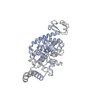 13020_7opl_D_v1-2
CryoEM structure of DNA Polymerase alpha - primase bound to SARS CoV nsp1