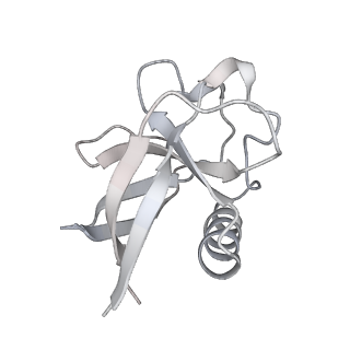 13020_7opl_E_v1-2
CryoEM structure of DNA Polymerase alpha - primase bound to SARS CoV nsp1