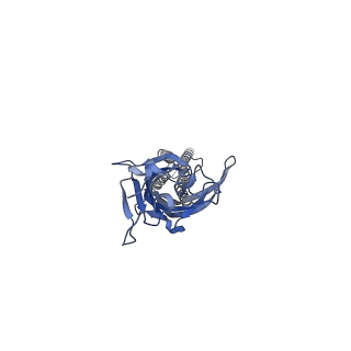 17045_8op9_A_v1-1
CryoEM structure of human rho1 GABAA receptor in complex with GABA