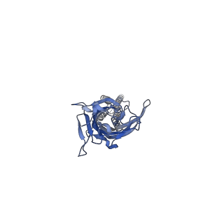 17045_8op9_A_v2-1
CryoEM structure of human rho1 GABAA receptor in complex with GABA